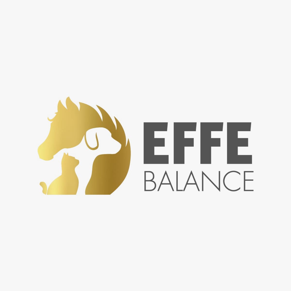 effe-balance