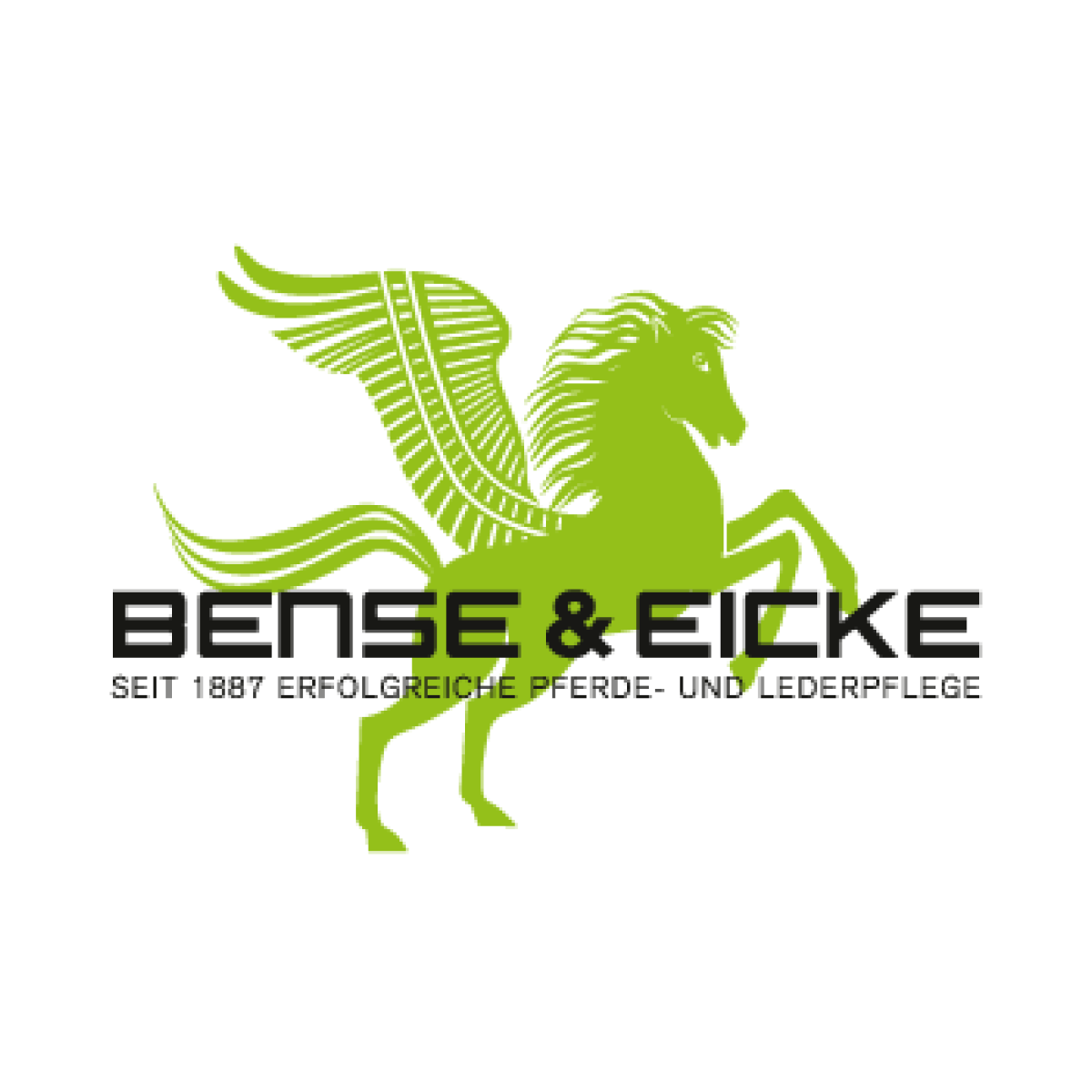 bense-and-eicke