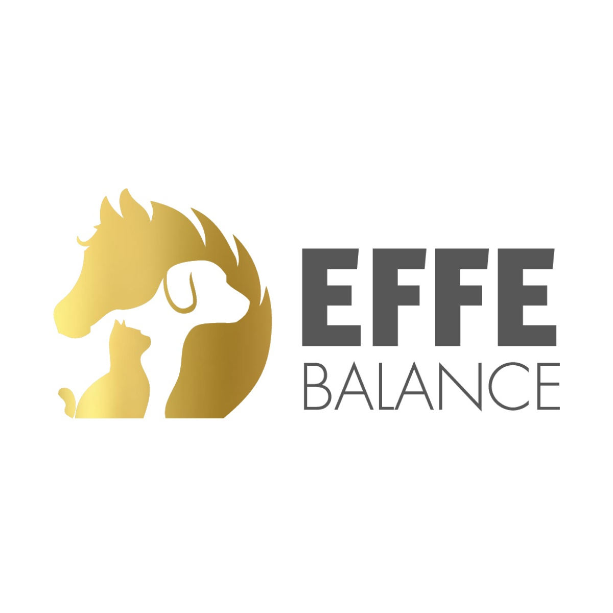 effe-balance