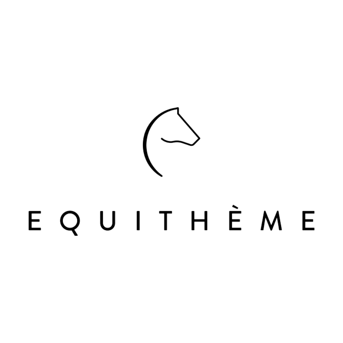 equitheme