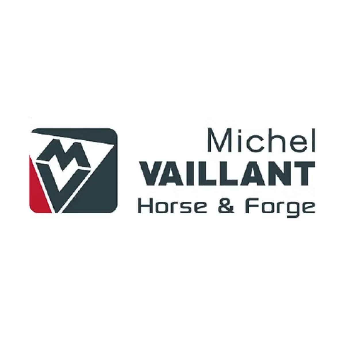 michel-vaillant