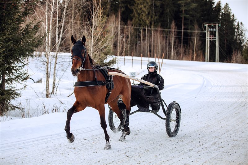 Finntack Pro Synthetic Training Breast Collar