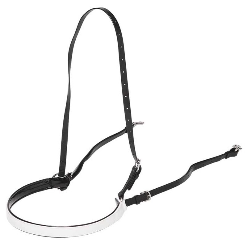 Collier de chasse français Zilco