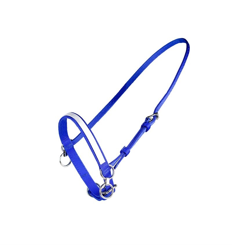 Finntack Pro Synthetic Fixed Head Halter with Martingale Ring