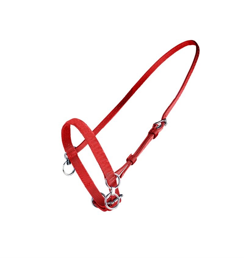 Finntack Pro Synthetic Fixed Head Halter with Martingale Ring