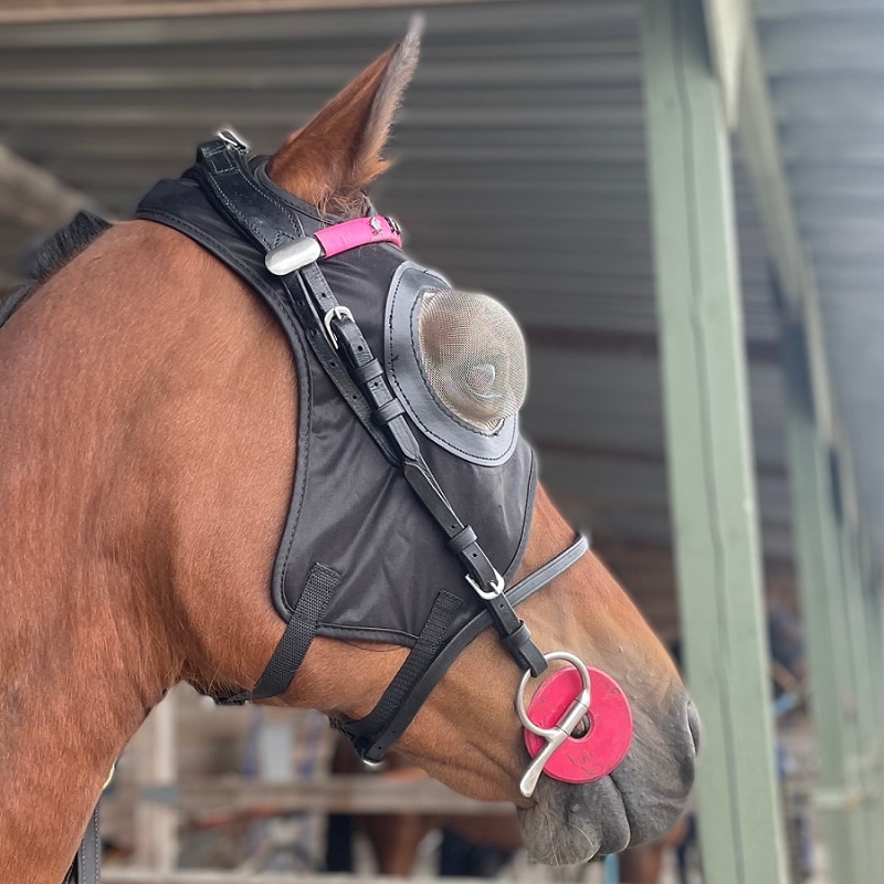 Finntack Pro Synthetic Hood with Eye Netting