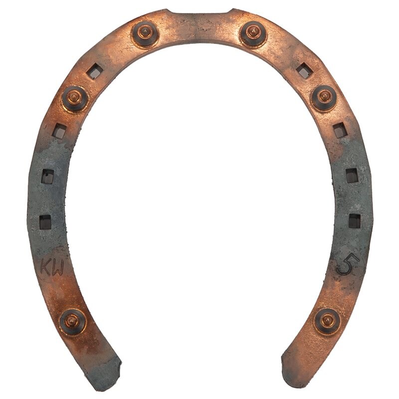 KW Hardmetal (goldshoe) Hind, 15x6, w/ 8x10 mm studs