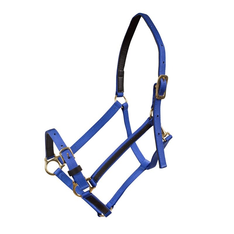 Licol Yankee Finntack Pro nylon avec muserolle ouverte