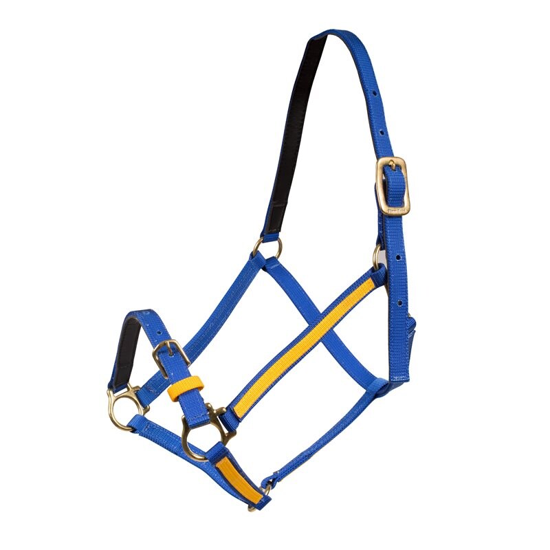 Licol Yankee Finntack Pro nylon avec muserolle ouverte