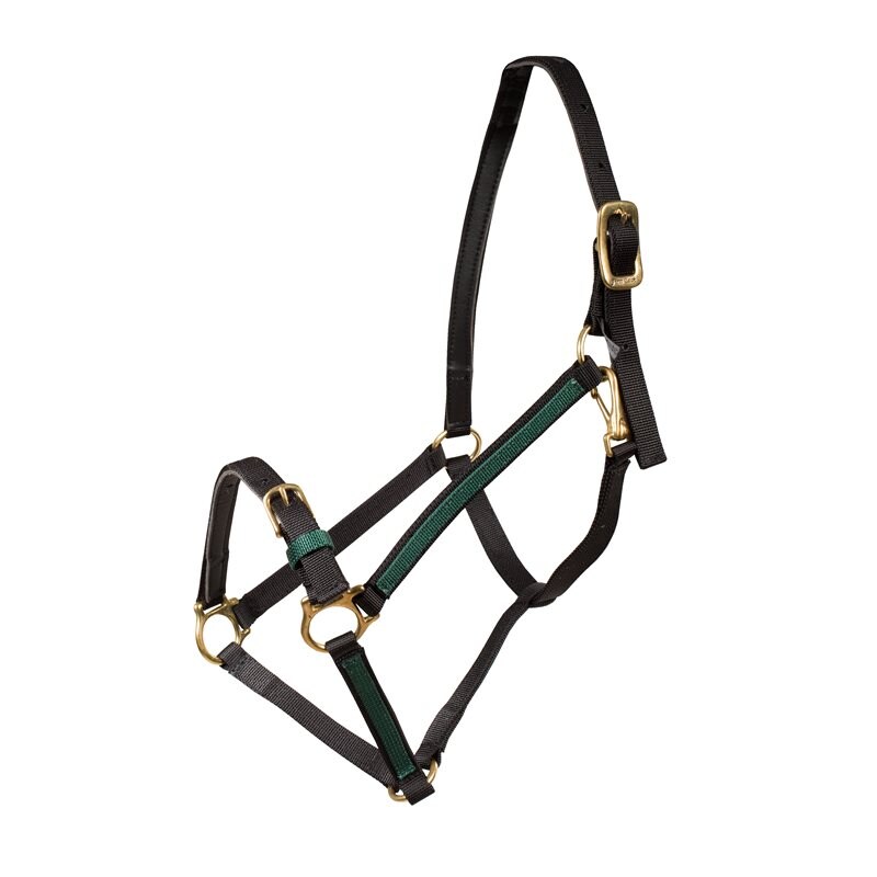 Finntack Pro Synthetic Yankee Nylon Halter with Open Nose