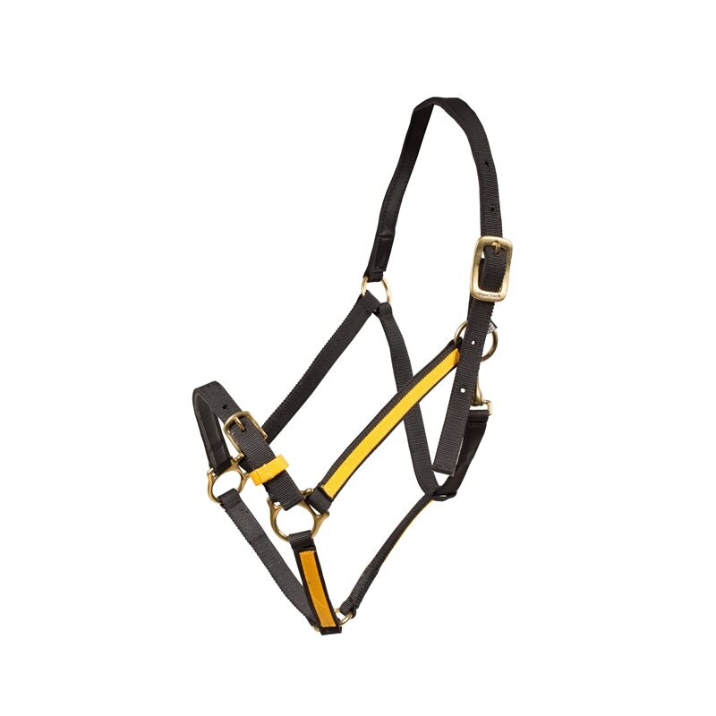 Finntack Pro Synthetic Yankee Nylon Halter with Open Nose