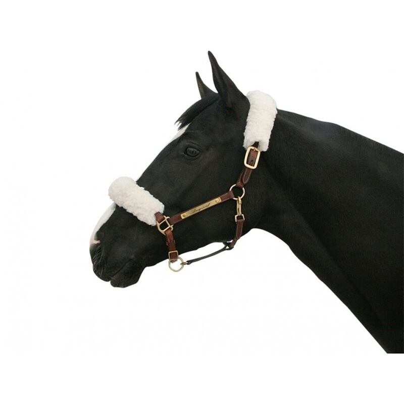 Back On Track Halter covers