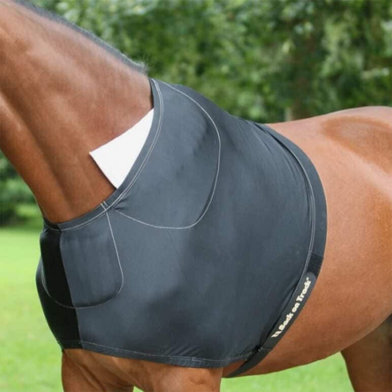 Back on Track Shoulder Guard