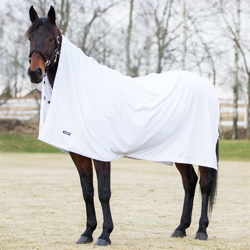 Chemise de séchage Finntack Pro