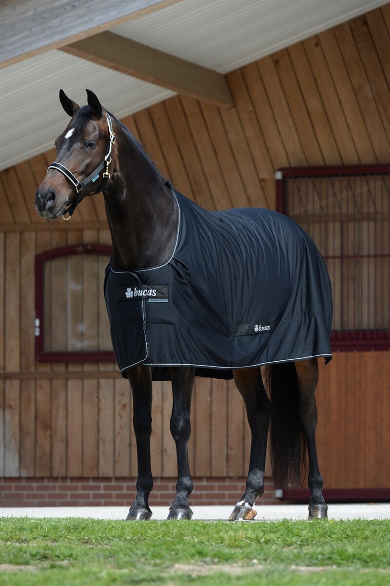 Bucas Shamrock Power Classic Cut