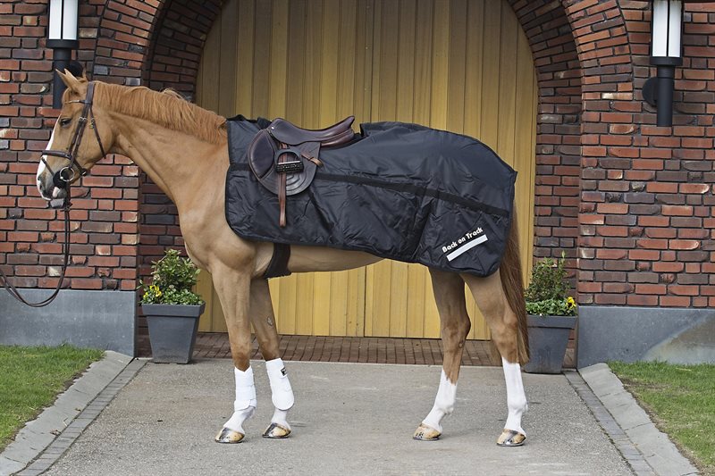 Back on Track Rug Excercise