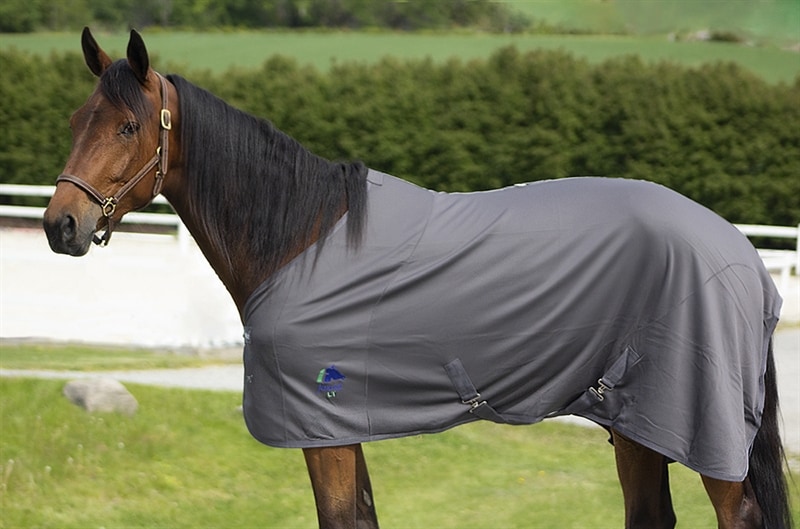 Fenwick Liquid Titanium Blanket