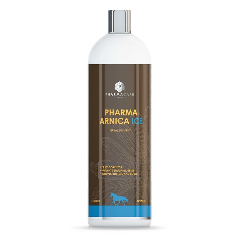 Pharma Arnika Ice, 1000ml