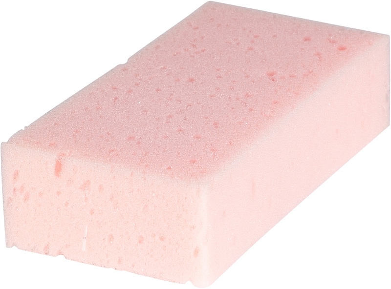 Eponge Absorby