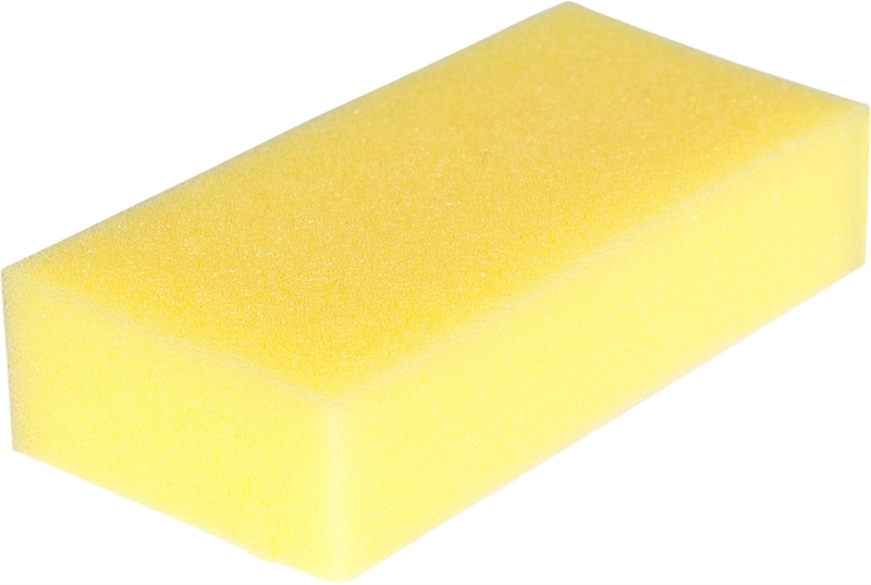 Eponge de pansage