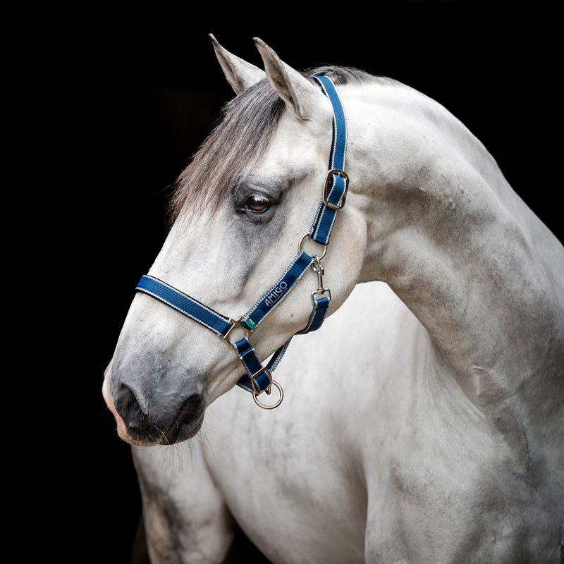 Horseware Amigo Head collar