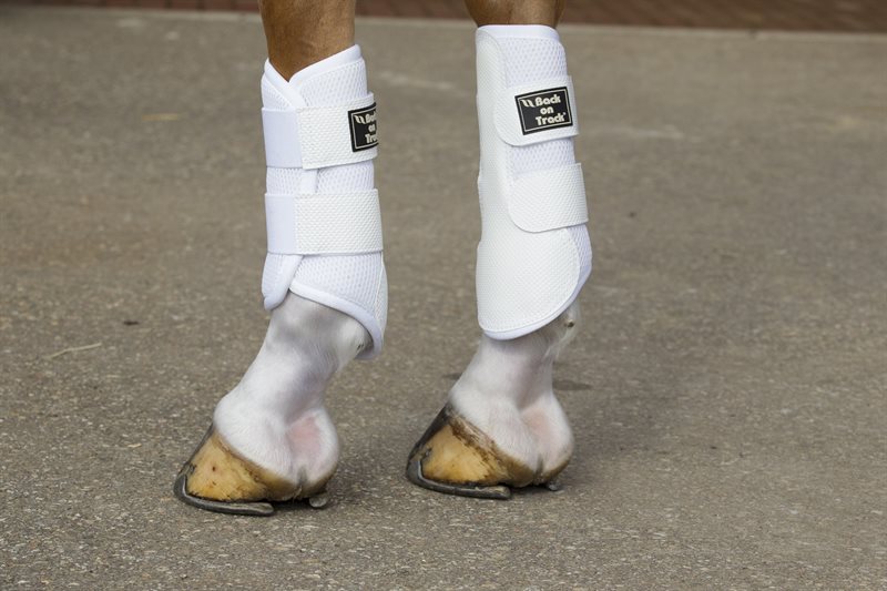 Back on Track Splint Boots, L-XL