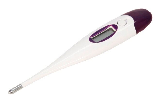 Kerbl Digital thermometer, waterproof, rigid probe