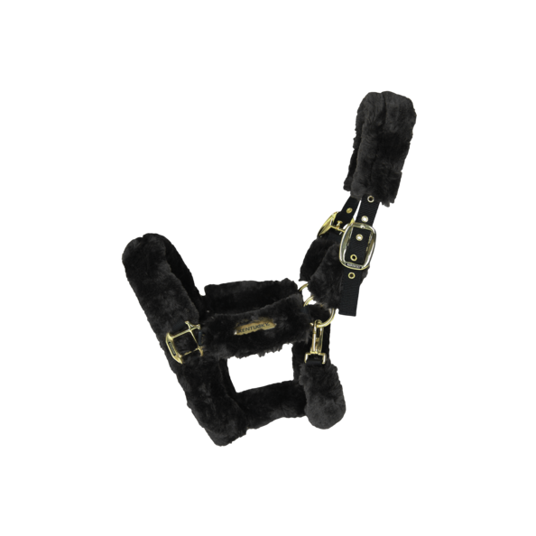 Kentucky Licol de transport mouton