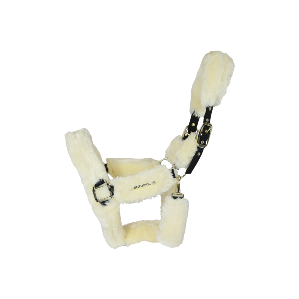 Kentucky Licol de transport mouton