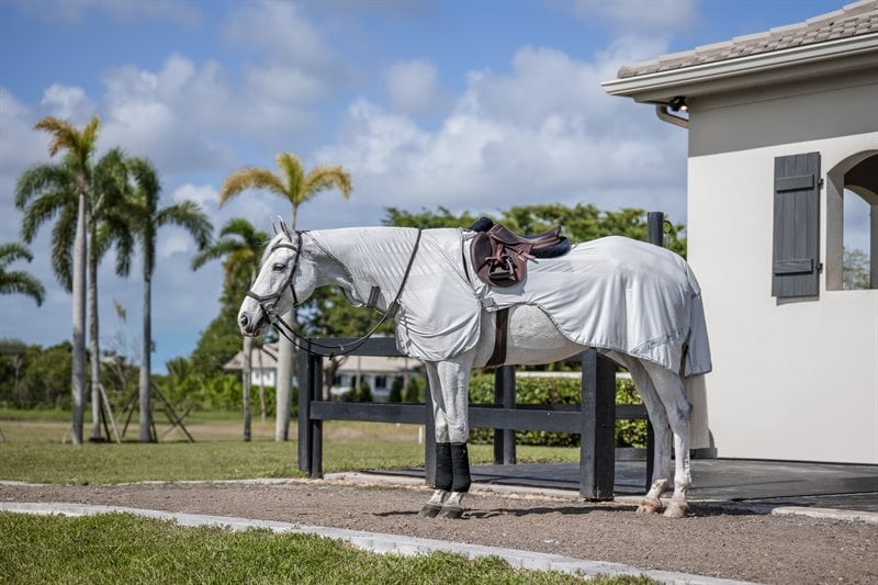 Horseware Amigo Flyrider