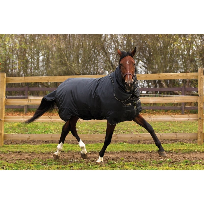 Horseware HW Trot Plus Heavy, 350g