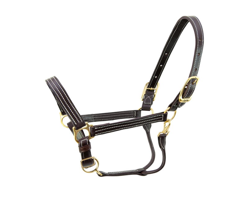 Walsh Kentucky Halter