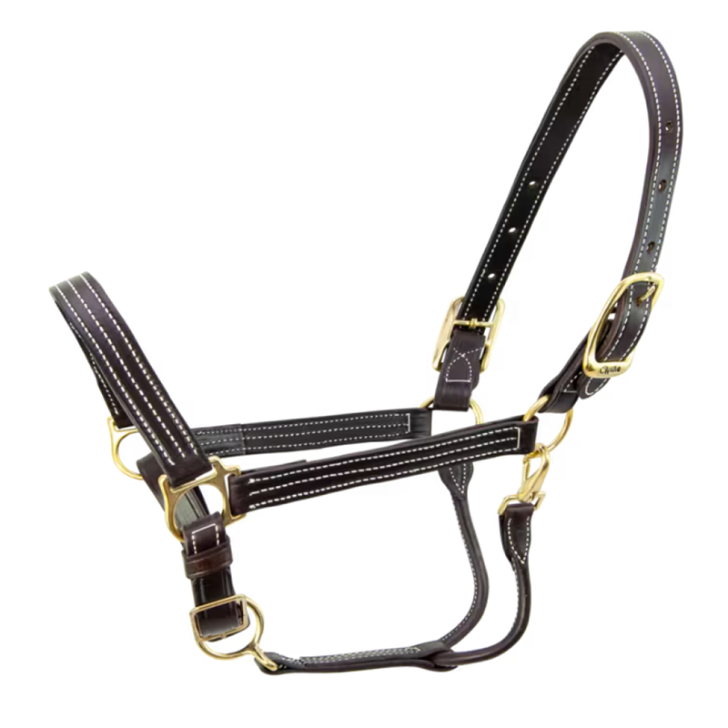 Walsh Kentucky Halter