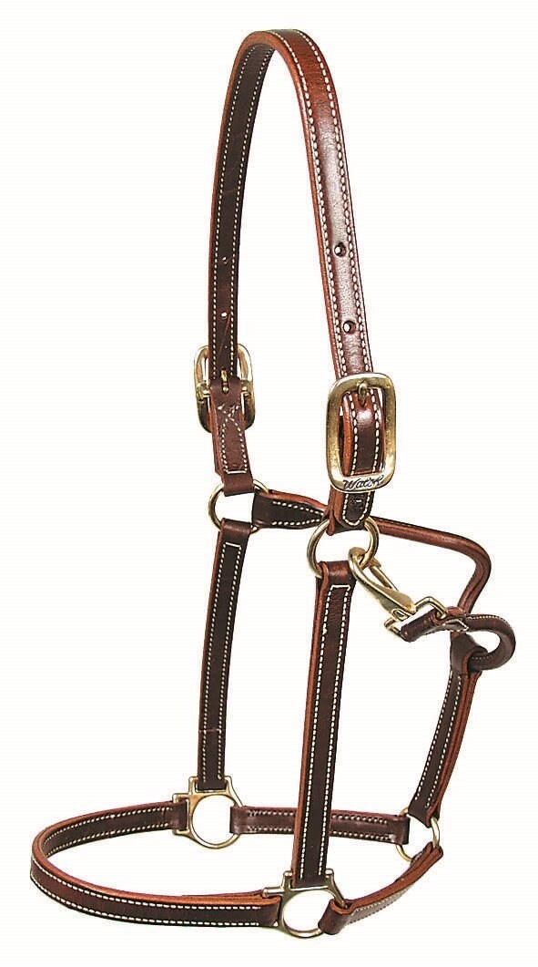 Walsh Showman Halter