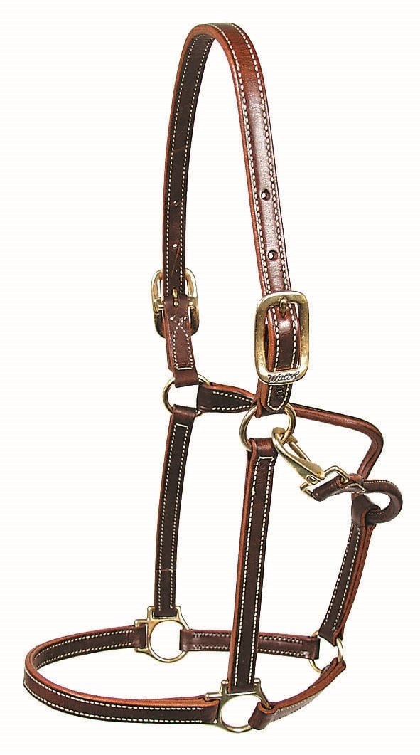 Walsh Showman Halter