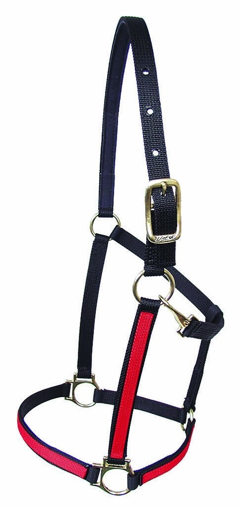 Licol nylon bicolore Walsh.