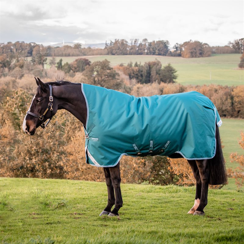 Couverture d'extérieur légère Horseware Amigo Bravo 12 Wug, 0g