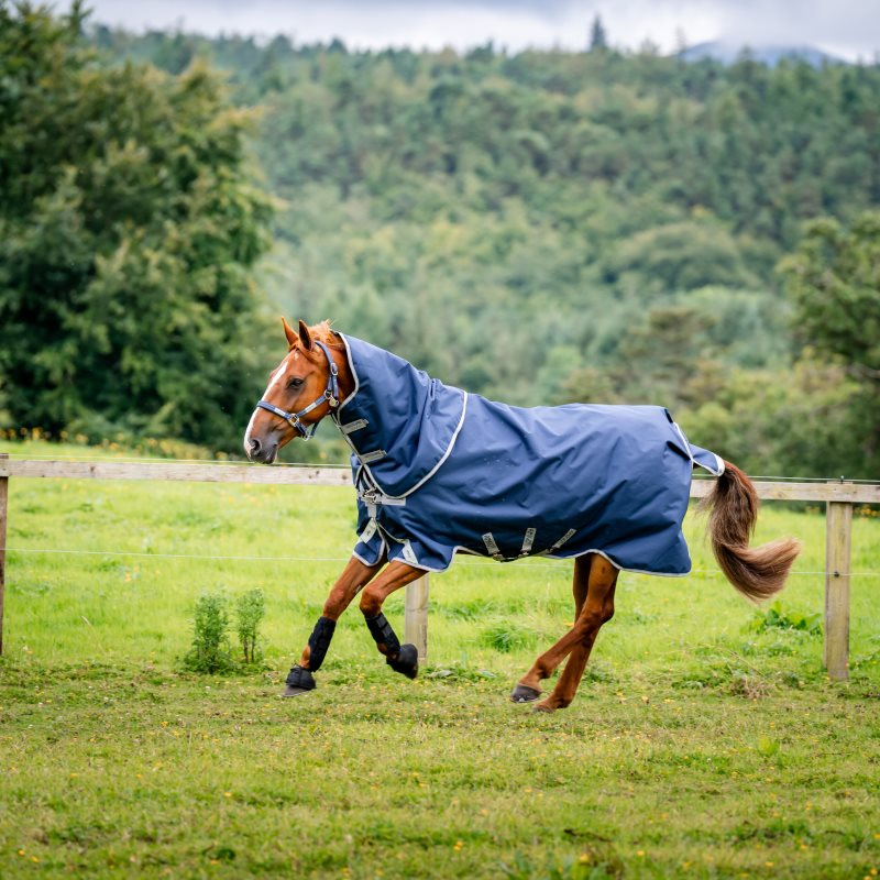 Horseware Amigo Bravo 12Plus T/O Heavy Winter rug, 400g