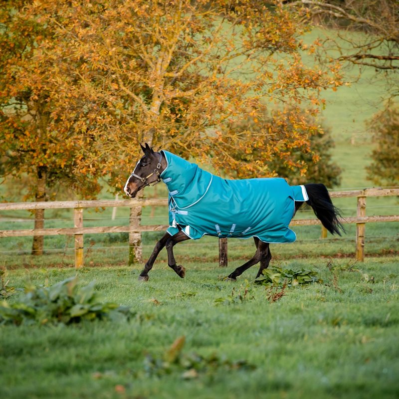 Horseware Amigo Bravo 12Plus T/O Heavy Winter rug, 400g