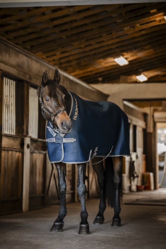 Horseware Rambo Airmax Cooler Disc Front