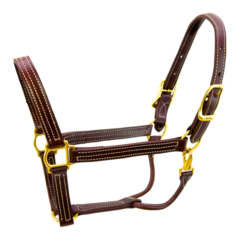 Walsh British Halter