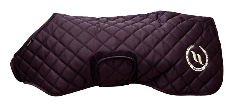 Back on Track Night Collection - Dog Coat