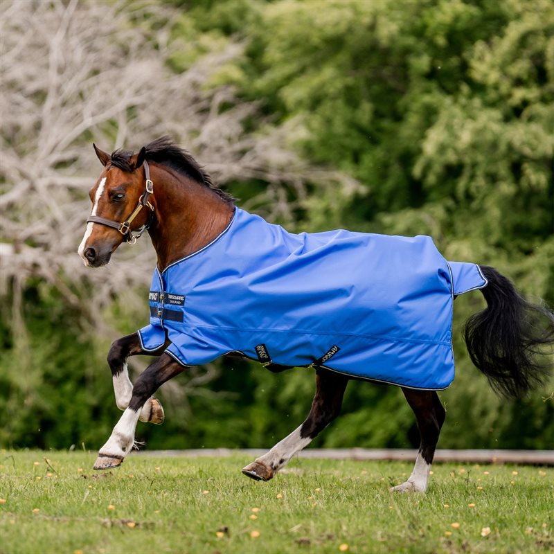 Chemise Amigo Hero Ripstop Lite 0g Horseware
