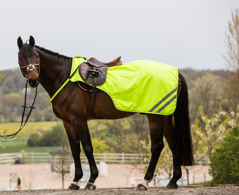 Reflective Riding Rug