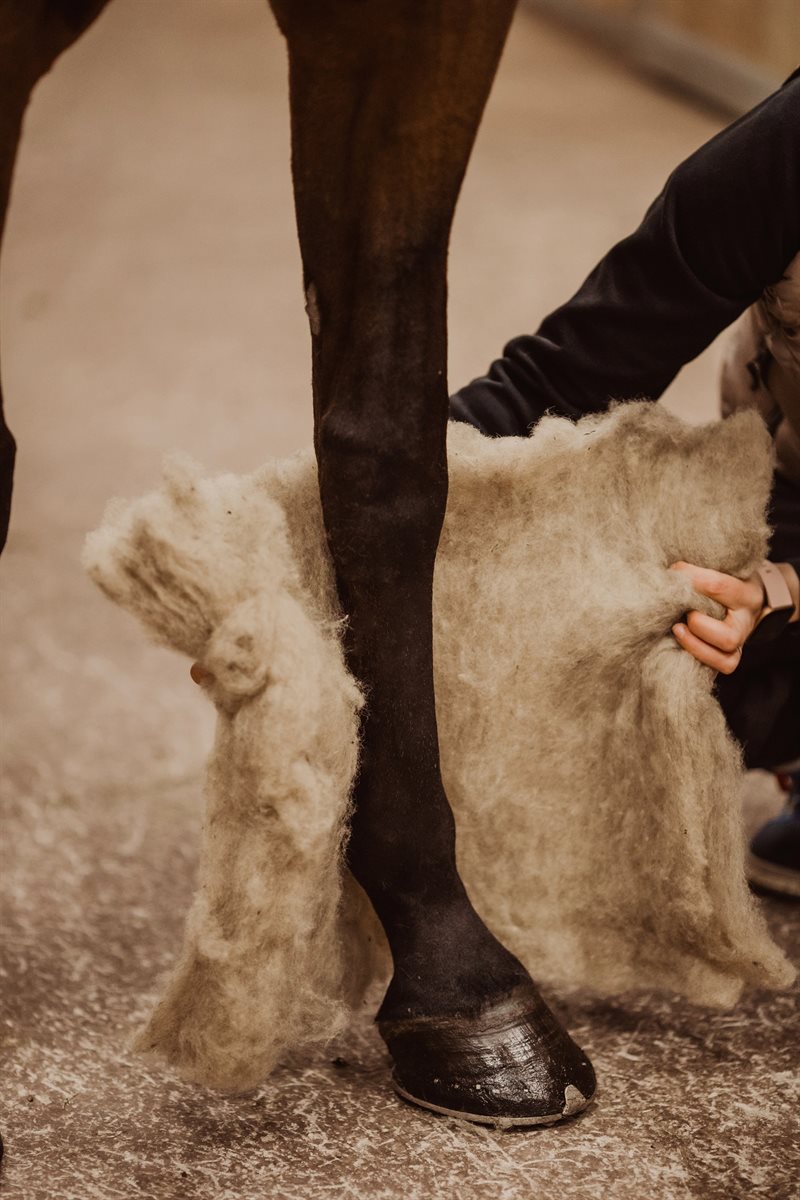 VILLAge Sheep wool leg pads