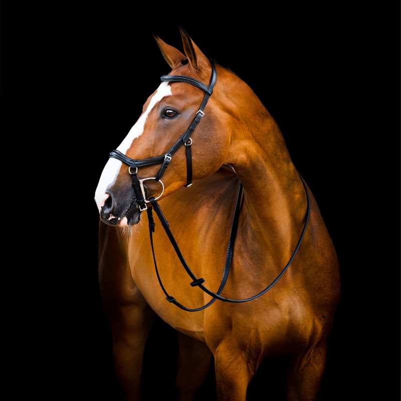 Filet de concours Horseware Rambo Micklem 2 Deluxe
