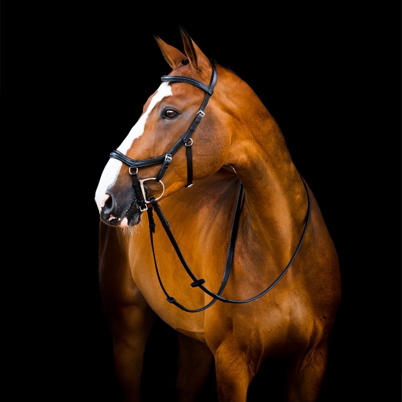 Horseware Rambo Micklem 2 Deluxe Competition Bridle
