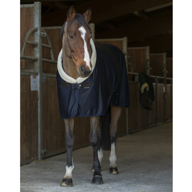 CHEMISE SÉCHANTE EQUITHÈME TEDDY
