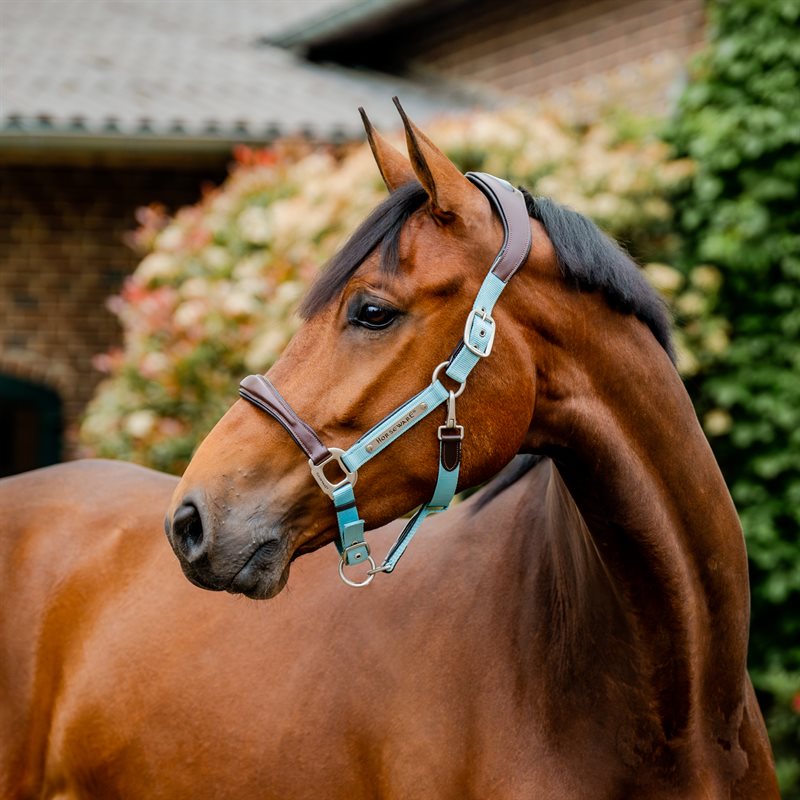 Collier de tête de compétition Horseware Signature