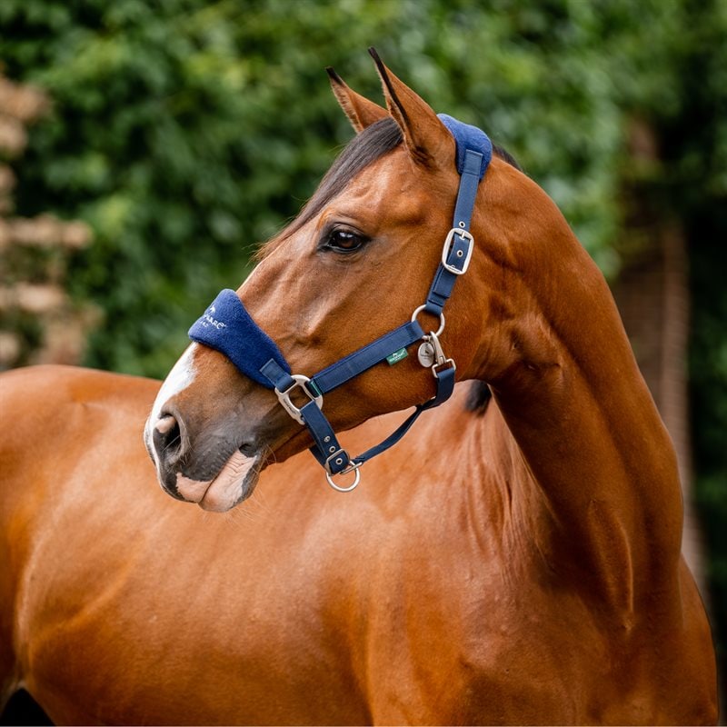 Horseware Signature Grooming Headcollar